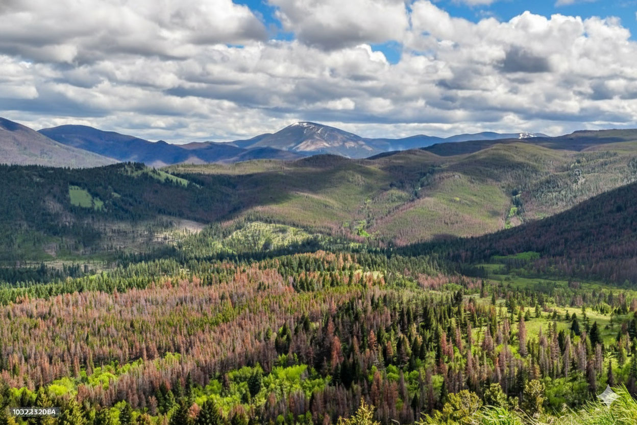 Helena Confluence Apartments